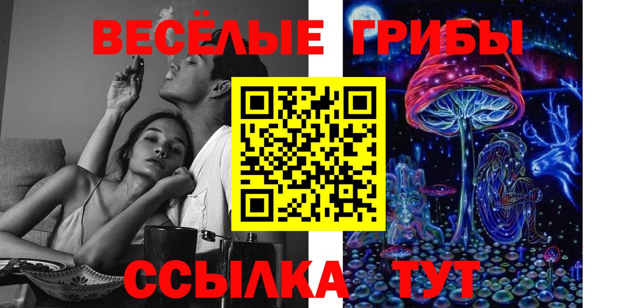 Псилоцибиновые грибы Psilocybe  Вход с VPN  купить наркотики сайты  Псилоцибиновые грибы ЛСД  Оренбург 
